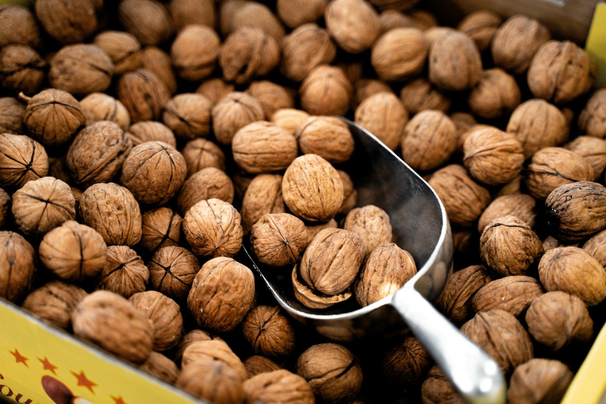 Protein sources and blood sugar
